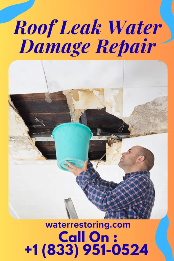 Roof Leak Water Damage Repair in Nettleton, MS