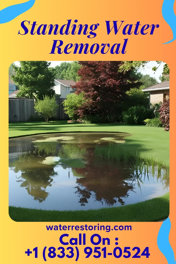 Standing Water Removal in Nettleton, MS